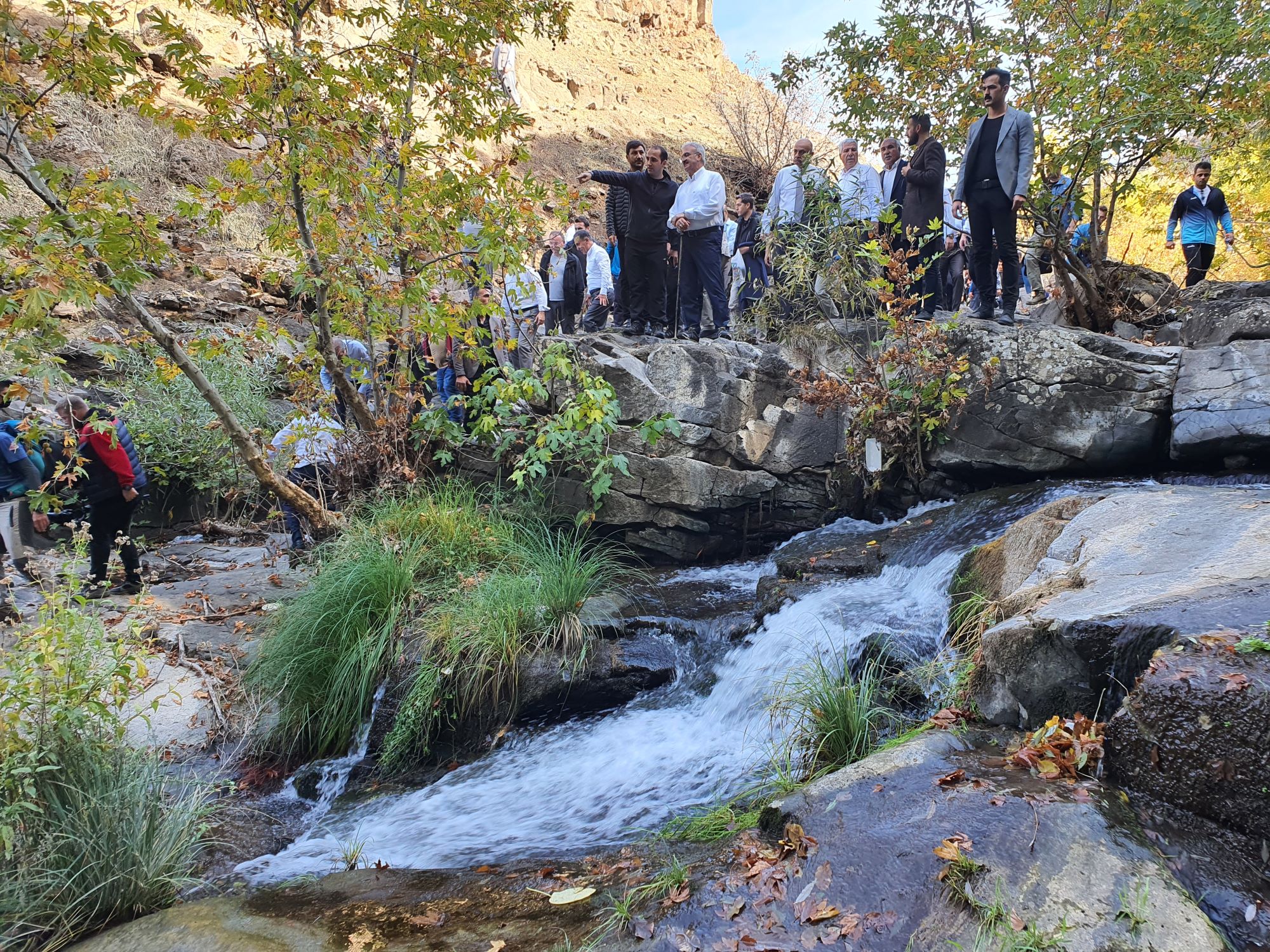 yabanardı yedek 1