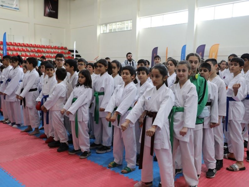 Karate şampiyonası
