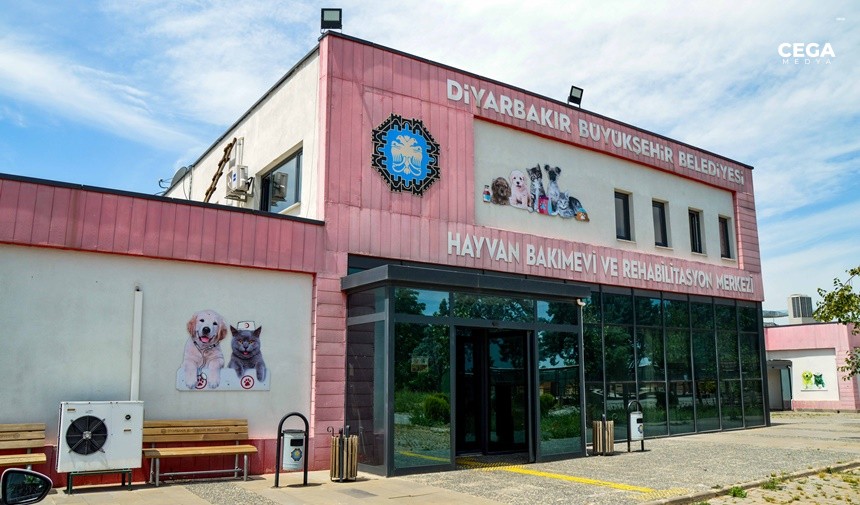 Diyarbakir Hayvan Bakimevi