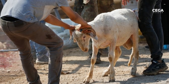 Kurban bayramı tarihleri
