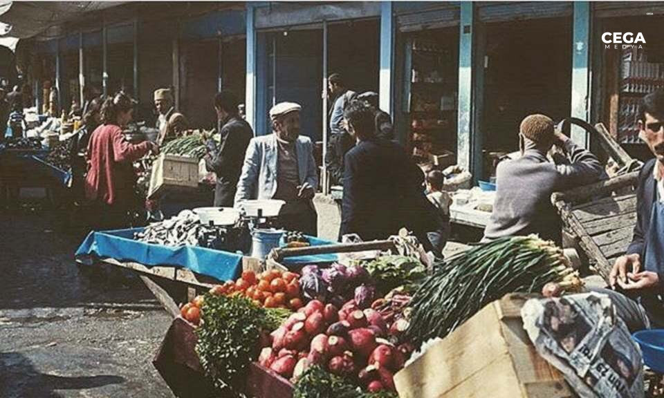 Yoğurt Antoloji