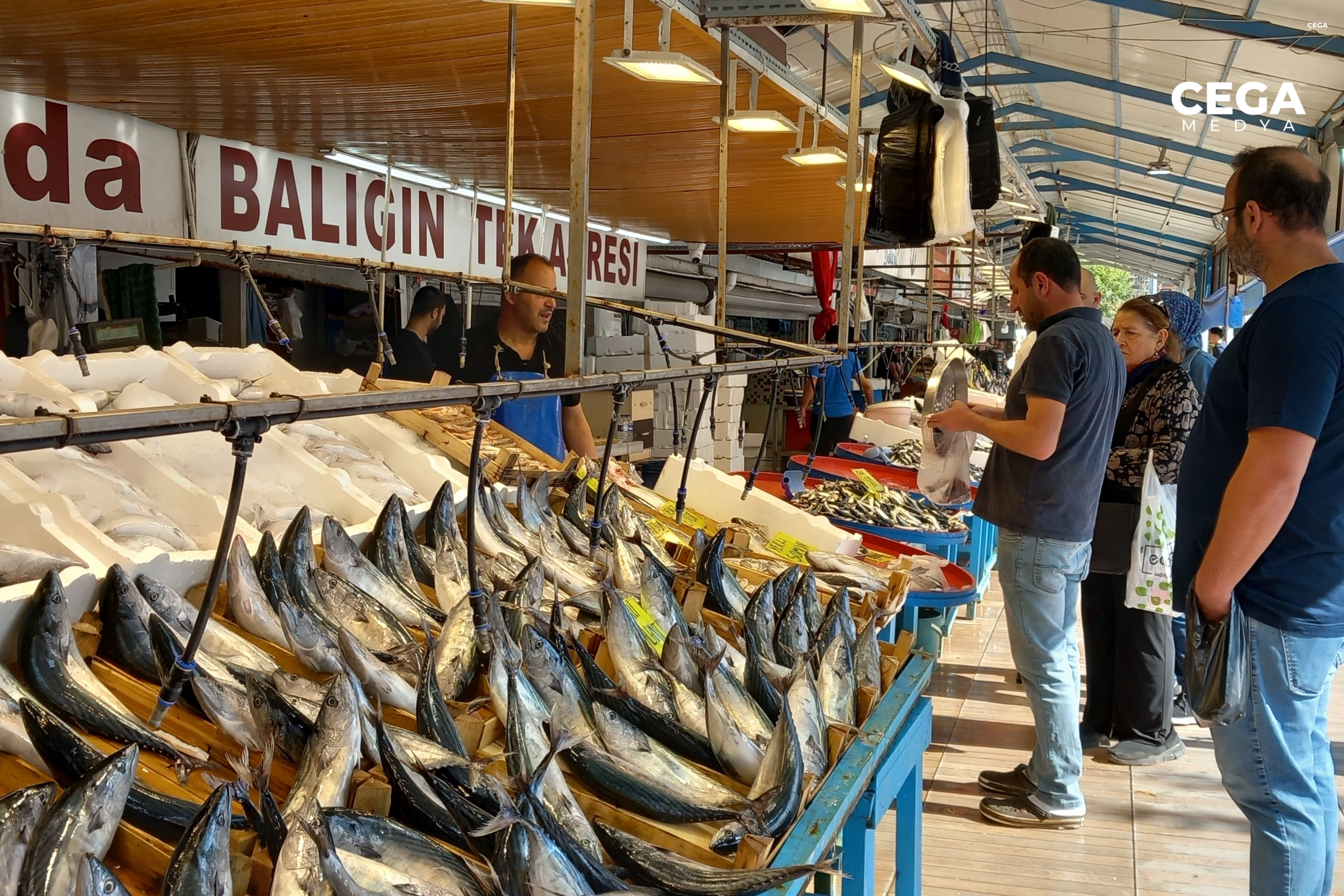 Balık fiyatları neden yükseldi ve palamut fiyatlarındaki artışın sebepleri