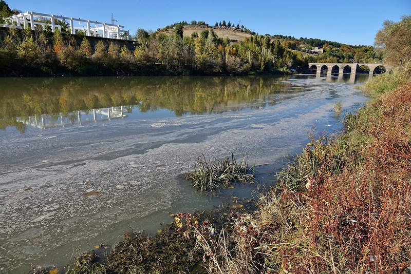 Diyarbakır Dicle Nehri'nde kirlilikle iri lağım farelere ortaya çıktı!