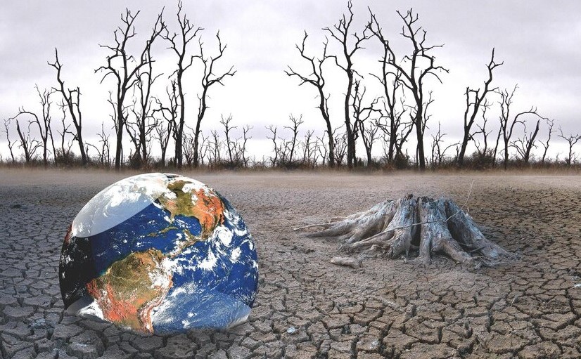 WMO: ''2024 rekor sıcaklıklarla tarihe geçiyor!''