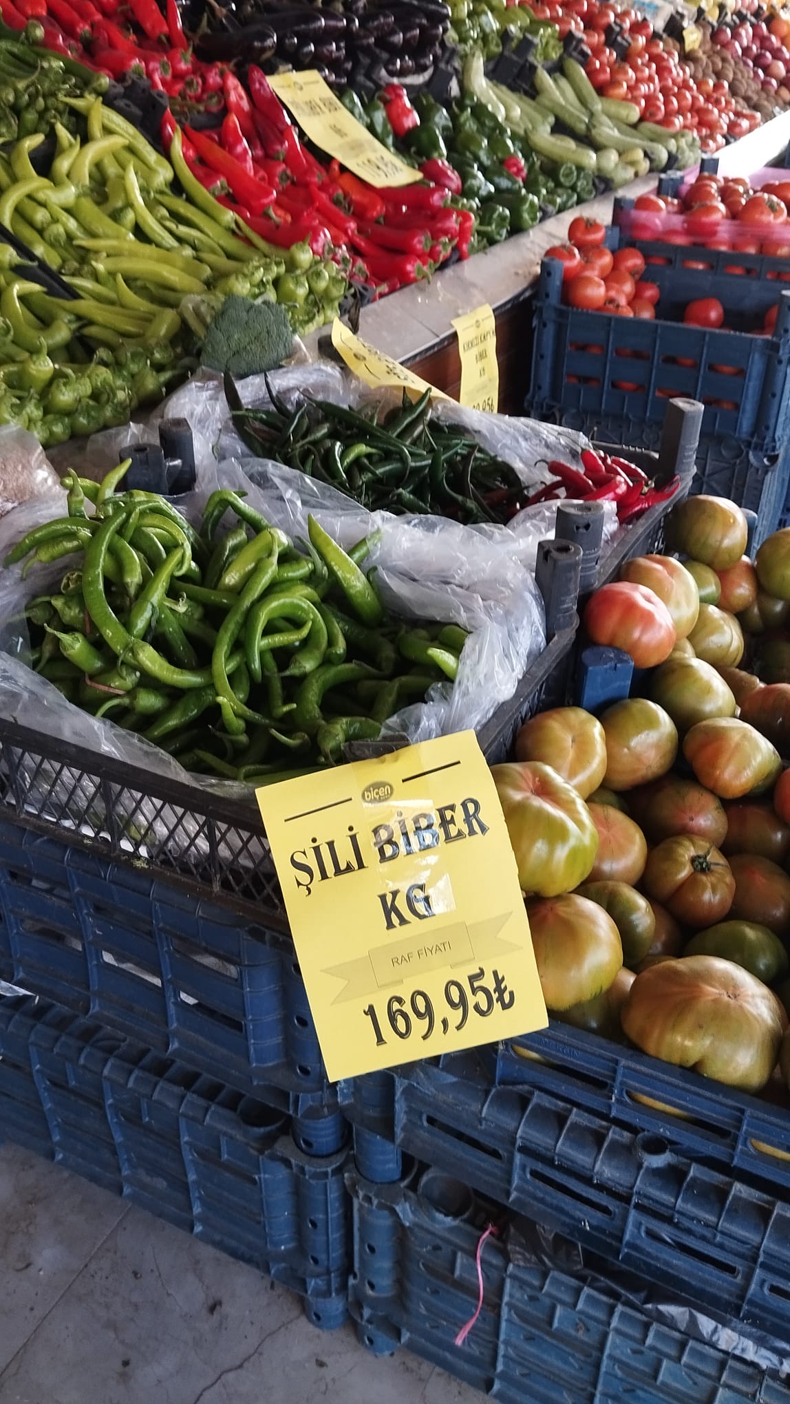 Acılığıyla Urfa isotunu sollayan Şili biberi, fiyatıyla da cep yakıyor.