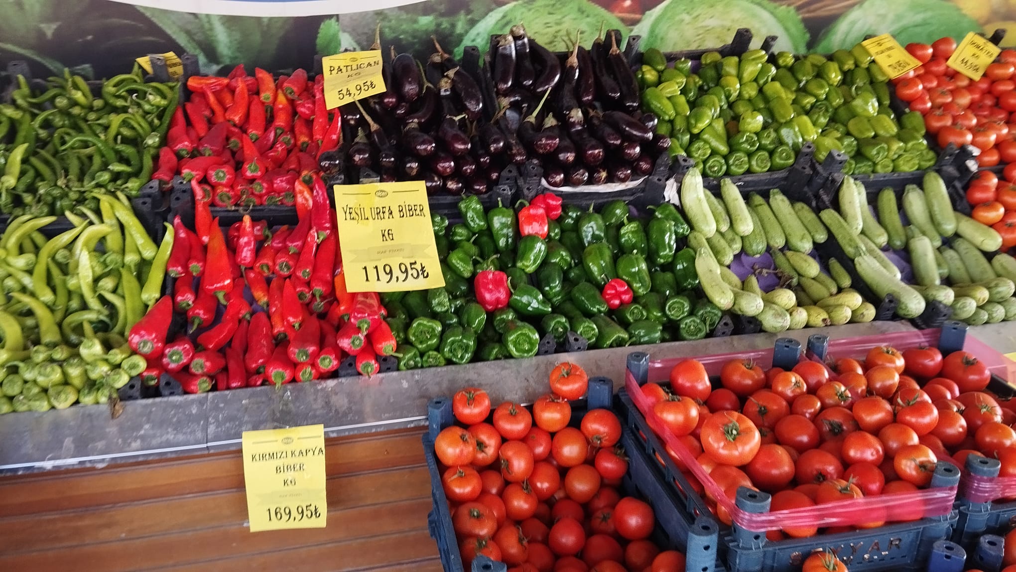 Acılığıyla Urfa isotunu sollayan Şili biberi, fiyatıyla da cep yakıyor.