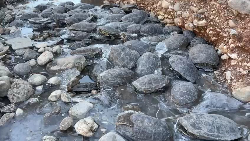 Suyu kesilen derede mahsur kaldılar