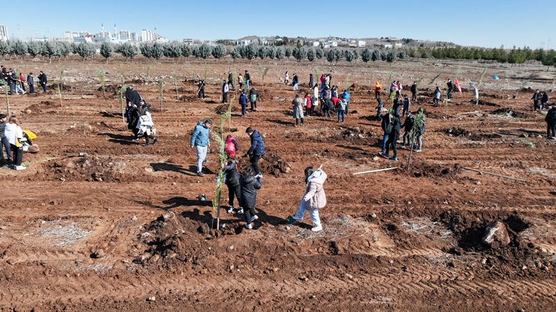 Diyarbakir Kent Ormani