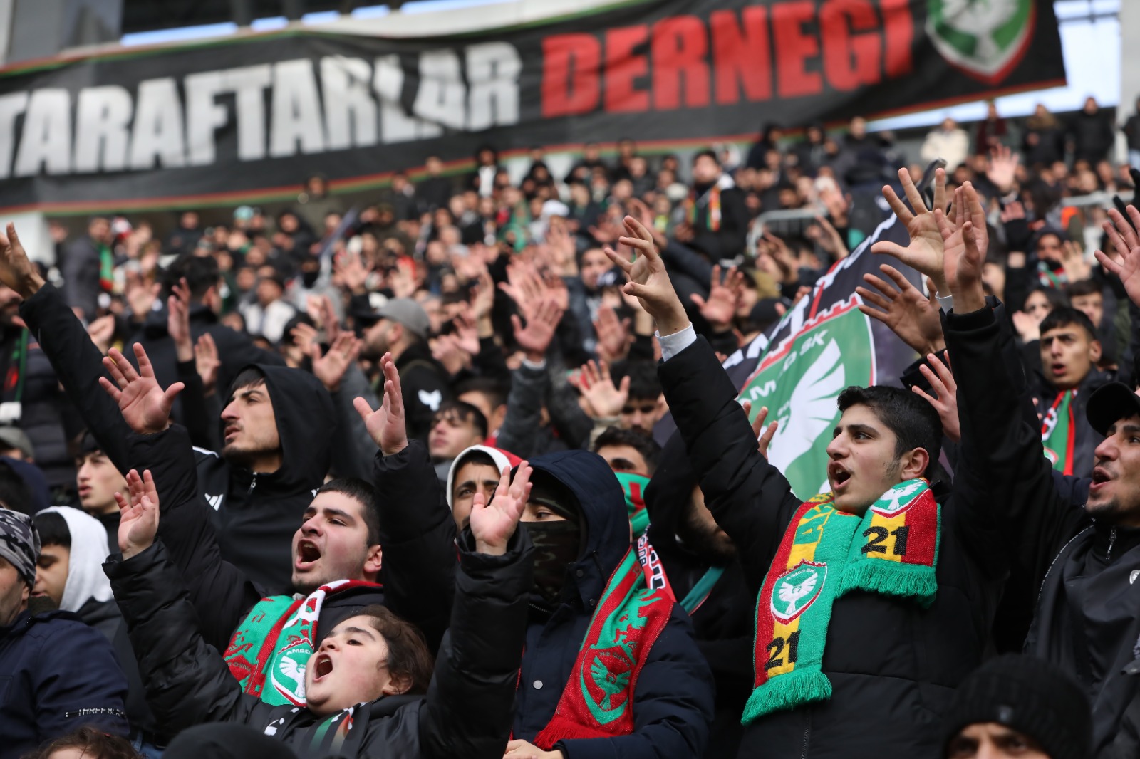 Amed2-1
