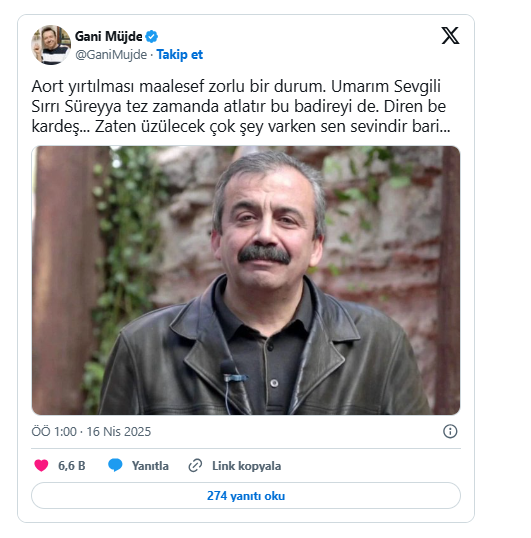 Sırrı Süreyya D 1