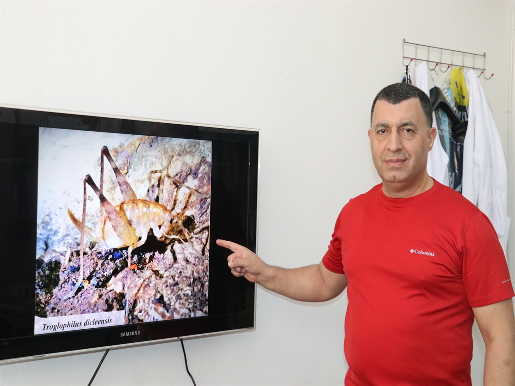 Diyarbakır'da mağarada keşfedildi, Almanya'da yayımlandı