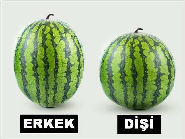 Diyarbakır karpuzunun tarihi ismini biliyor musunuz?
