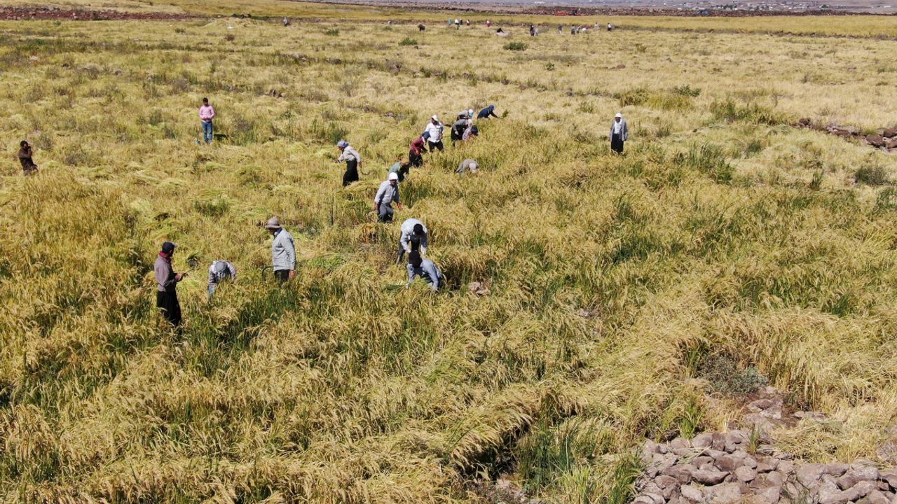 Diyarbakır’a 6,5 milyar liralık yatırım pirince takıldı