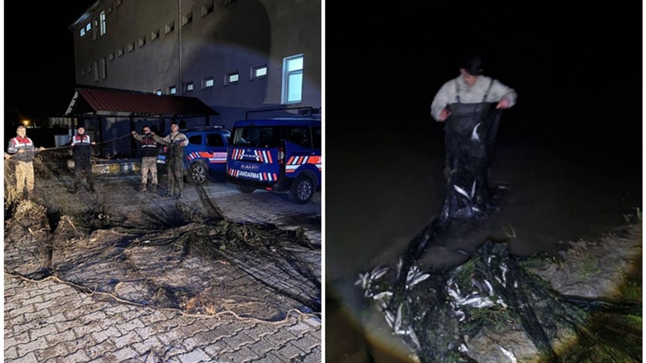 1 ton canlı balık ele geçirildi