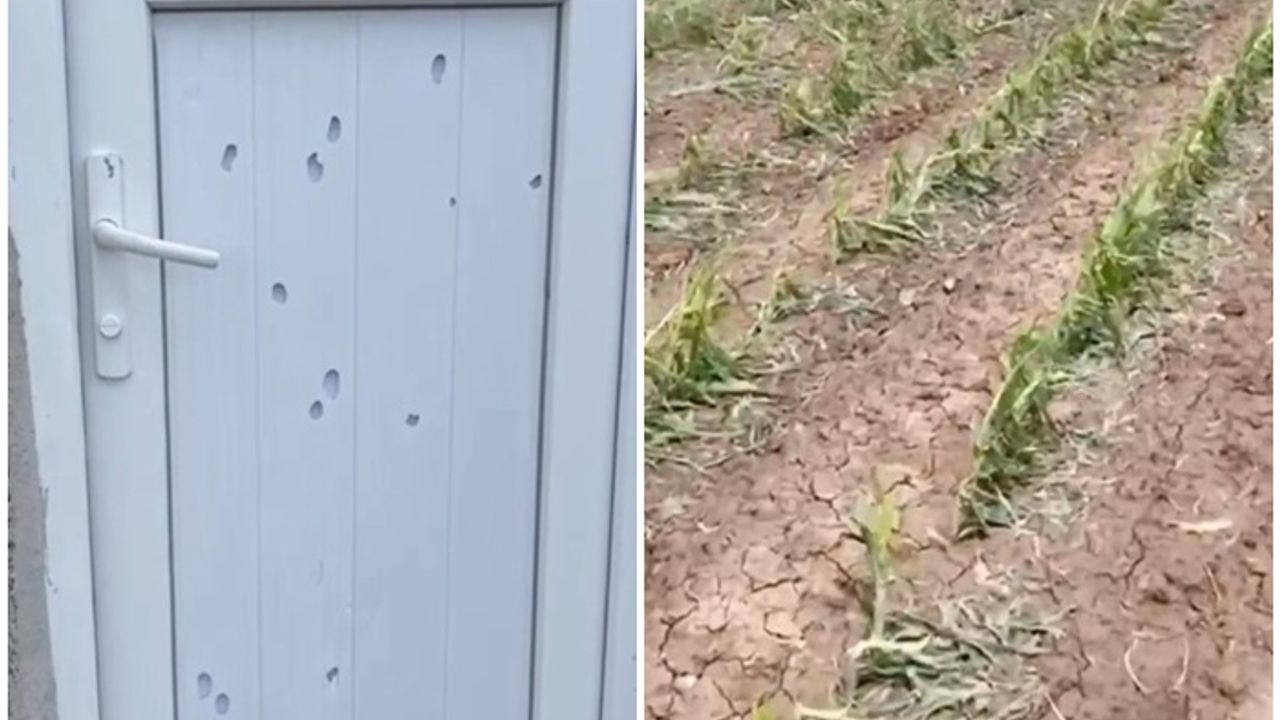 Diyarbakır'da dolu bağ kapı deldi