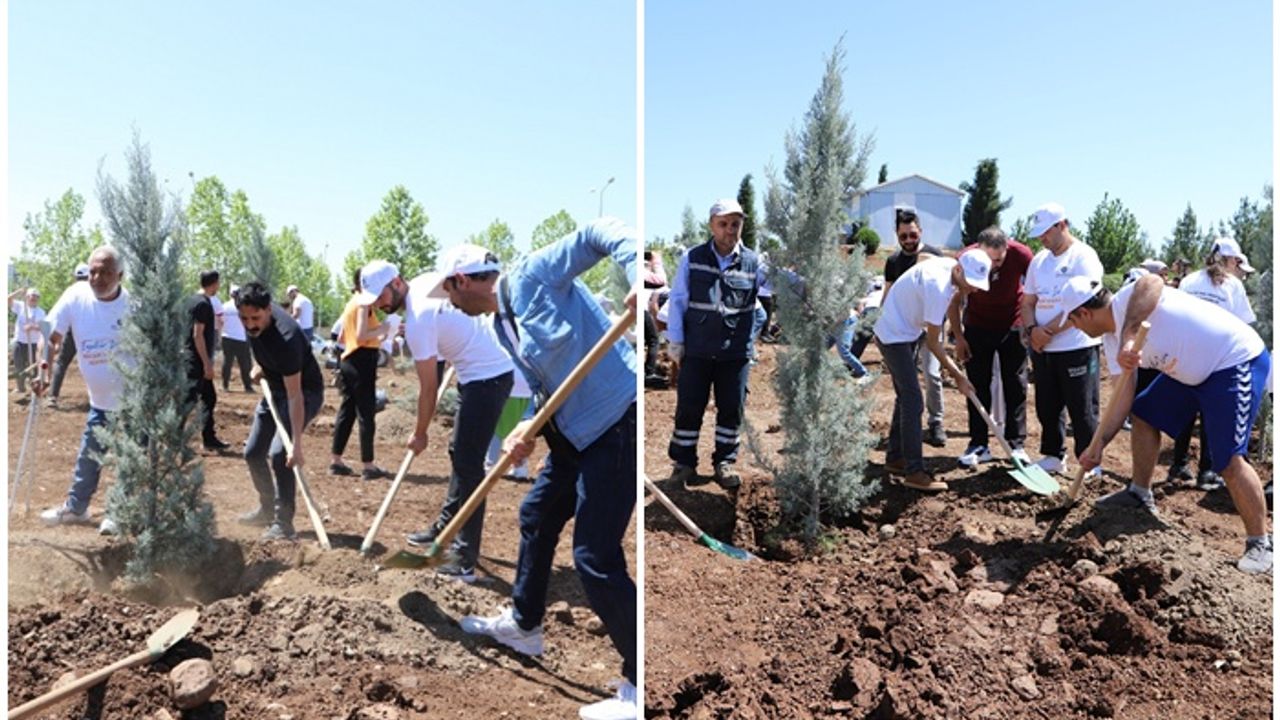 Diyarbakır’da engelliler fidan dikti