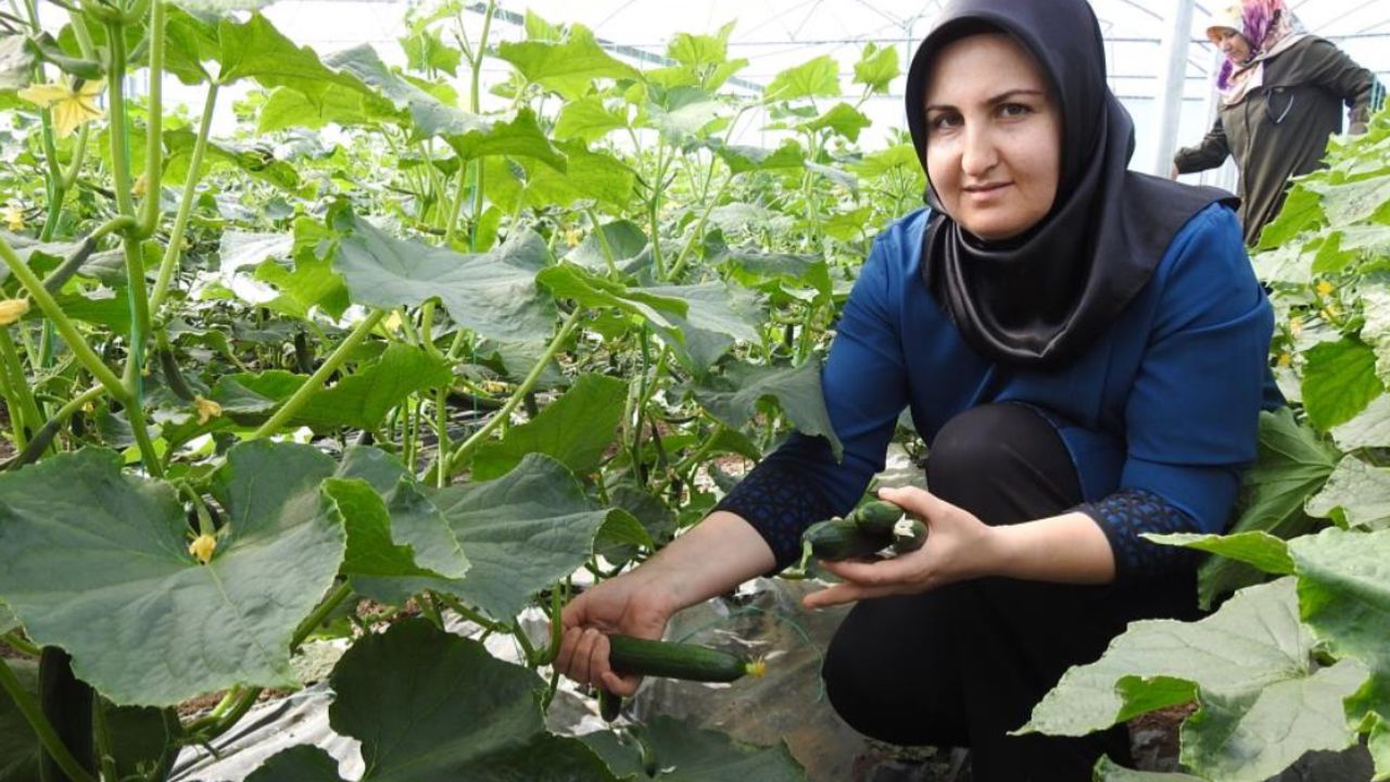 Kadınlar günlük 500 kilo ürün alıyor
