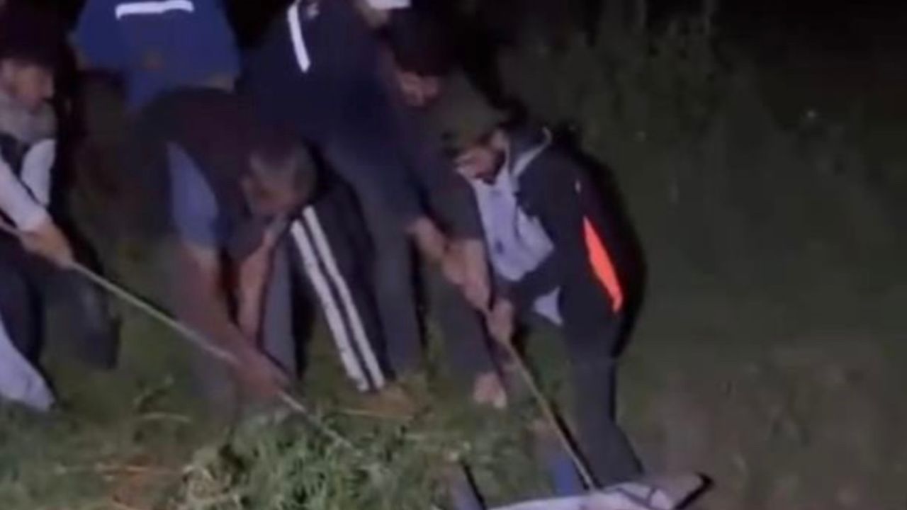 Çukura düşen ineği köylüler kurtardı