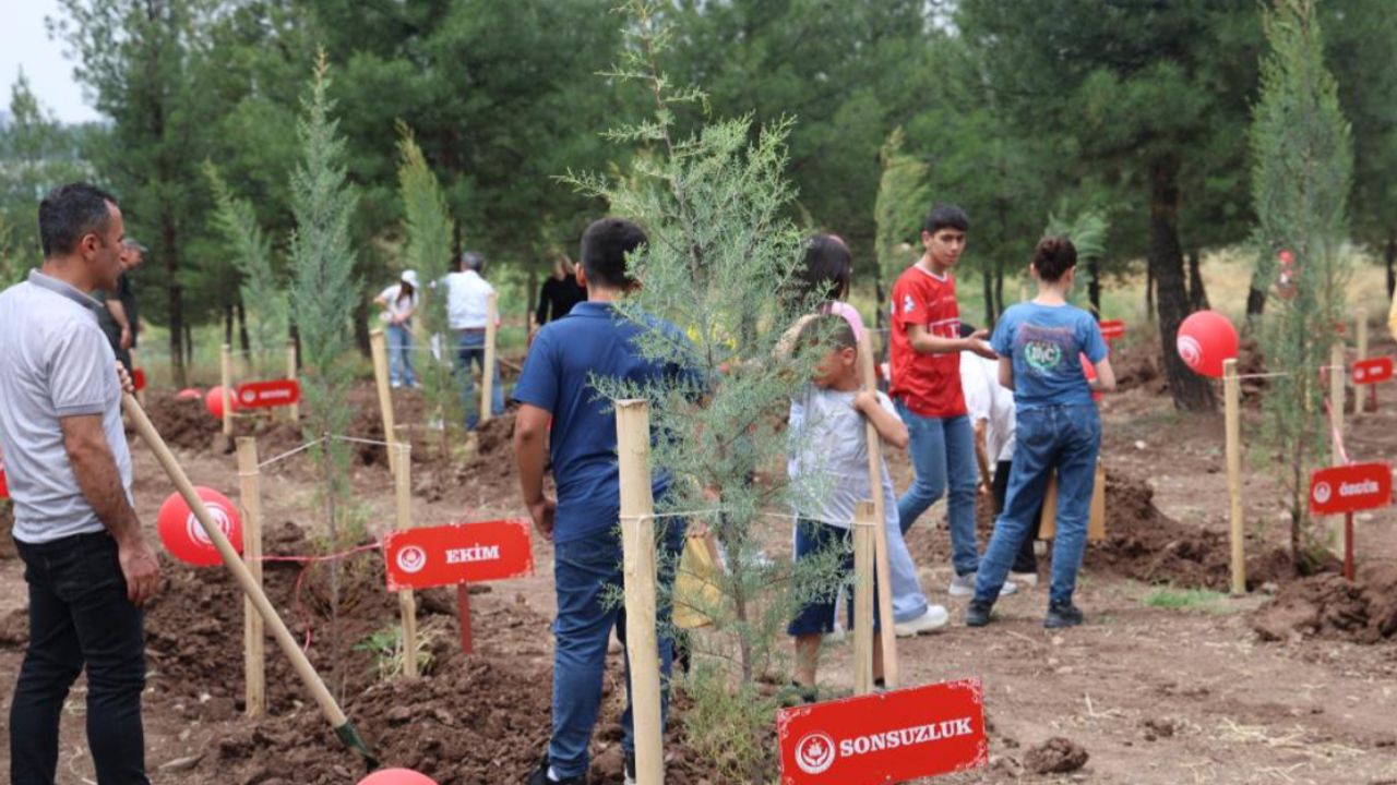 Koruyucu aile hatıra ormanı oluşturuldu