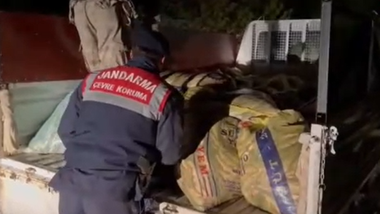 Van'da 3 ton 370 kilogram inci kefali ele geçirildi