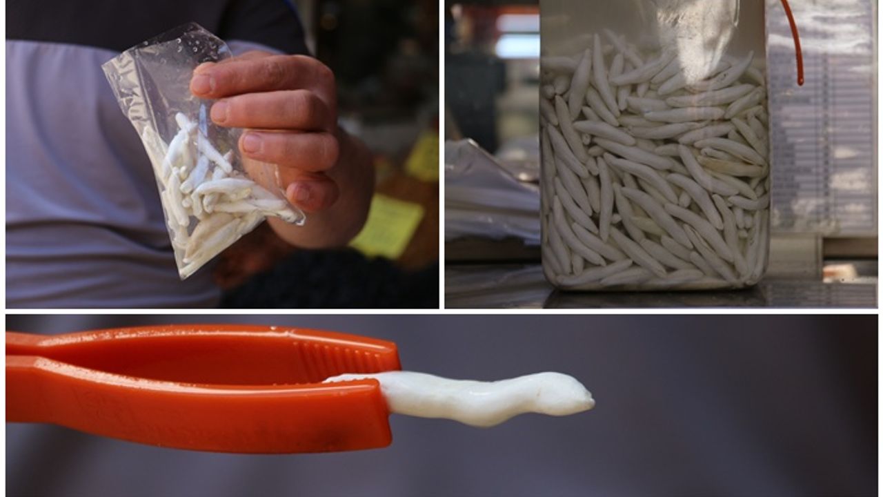 Dünyanın en pahalı sakızı Sivas’ta: 12 bin lira