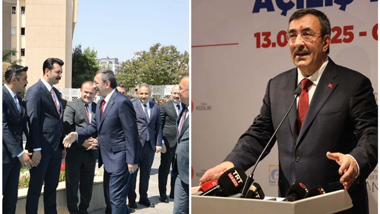 Cumhurbaşkanı Yardımcısı: İsrail maalesef istikrarsızlık arıyor