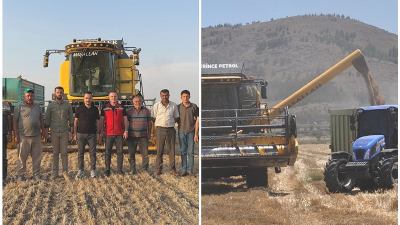 Gaziantep’te buğday hasadı sürüyor