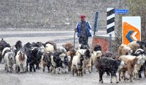 Doğu'ya kış tipiyle birlikte geldi!