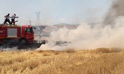 Anız yangını bahçelere sıçramadan söndürüldü