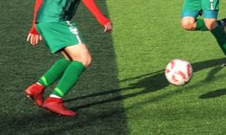 Amedspor Başkanı Aziz Elaldı olacak
