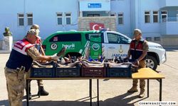 KAÇAK BALIK AVLAYANLARA CEZA