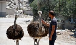 ''Görenler hindi zannediyor''