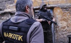 Şırnak'ta suçlu operasyonu: 65 gözaltı