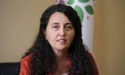 HDP-Yeşil Sol Parti 8 bölgede toplantılar yapacak