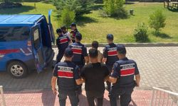 Diyarbakır’da büyükbaş hayvan çalan 2 kişi tutuklandı