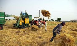 Tarımsal destekleme ödemesi hesaplara yatıyor