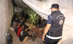 Göçmen kaçakçısı 2 şüpheli  tutuklandı