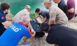 Serinlemek için Fırat Nehri'ne giren genç boğuldu