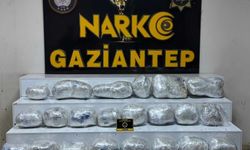 Gaziantep'te 26 kilogram skunk ele geçirildi