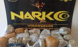 Şanlıurfa'da 26 kilo 600 gram skunk ele geçirildi