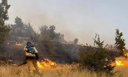 Şırnak’ta ormanlık alanda çıkan yangın söndürüldü