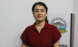 Diyarbakır'daki STK'lardan  "Kürtçe" tepkisi