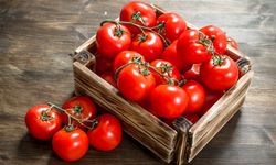 Domatesleri kışın da taze tüketin: En lezzetli ve kolay domates saklama yöntemleri nelerdir?