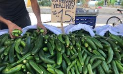 Yüksek fiyat, kış hazırlığını geciktiriyor 
