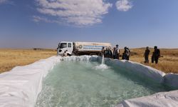 Susuz kalan sürü hayvanlarının imadadına belediye yetişti