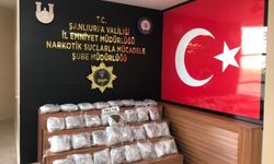 Şanlıurfa'da 19 kilo 450 gram skunk ele geçirildi