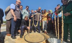Diyarbakır'da bağ bozumu başladı