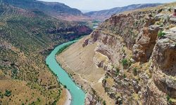 Sadece bu vadide yetişiyor, 6 ay saklanabiliyor