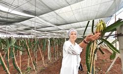 Sera Kent tropikal meyvede başarıya ulaştı