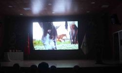 Göbeklitepe Kısa Film Festivali’ne 953 film katıldı